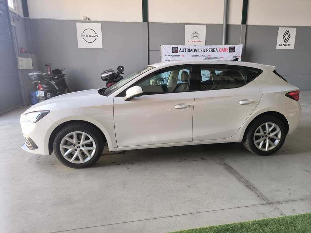 whatsapp image 2025 10 09 at 12.00.13