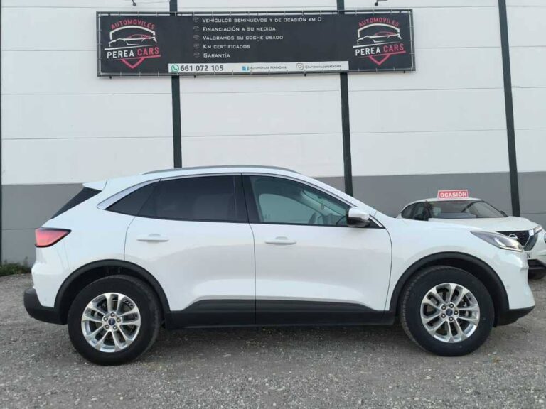 whatsapp image 2025 10 23 at 08.49.20 1