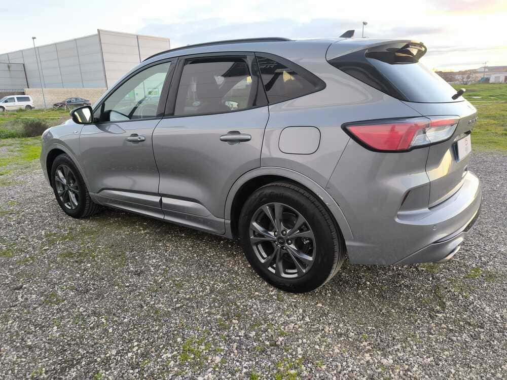 whatsapp image 2026 01 08 at 20.54.26