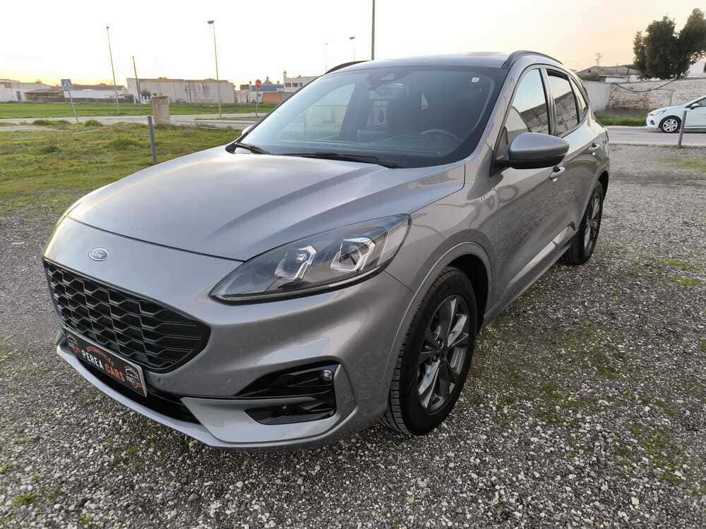 whatsapp image 2026 01 08 at 20.54.27 1