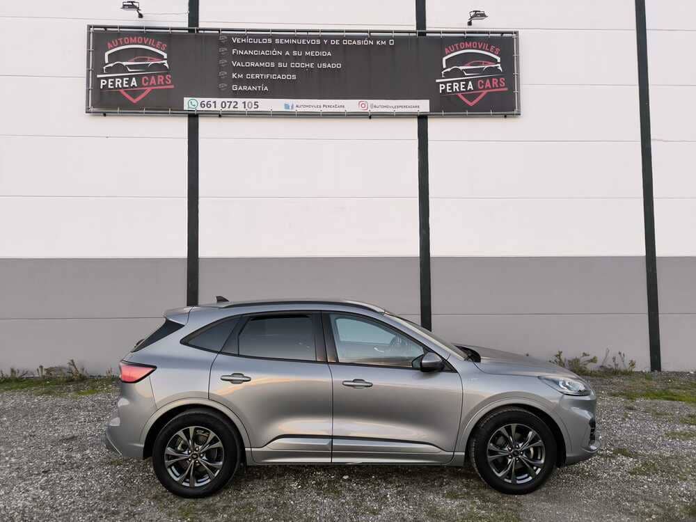 whatsapp image 2026 01 08 at 20.54.28 3