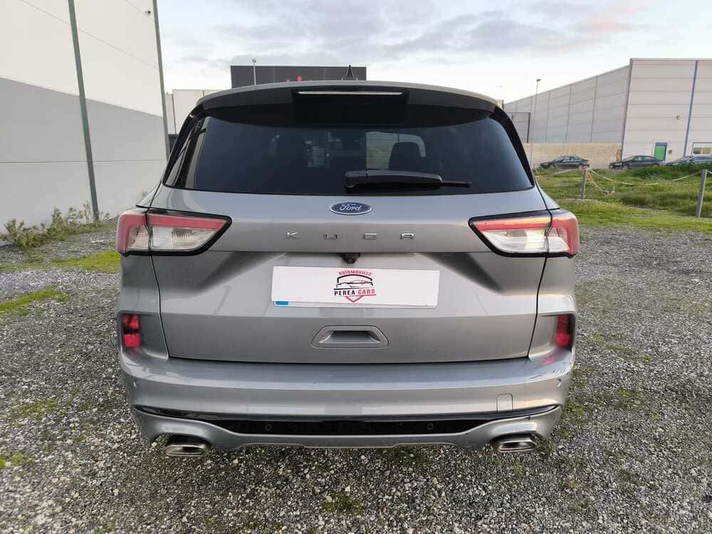 whatsapp image 2026 01 08 at 20.54.29