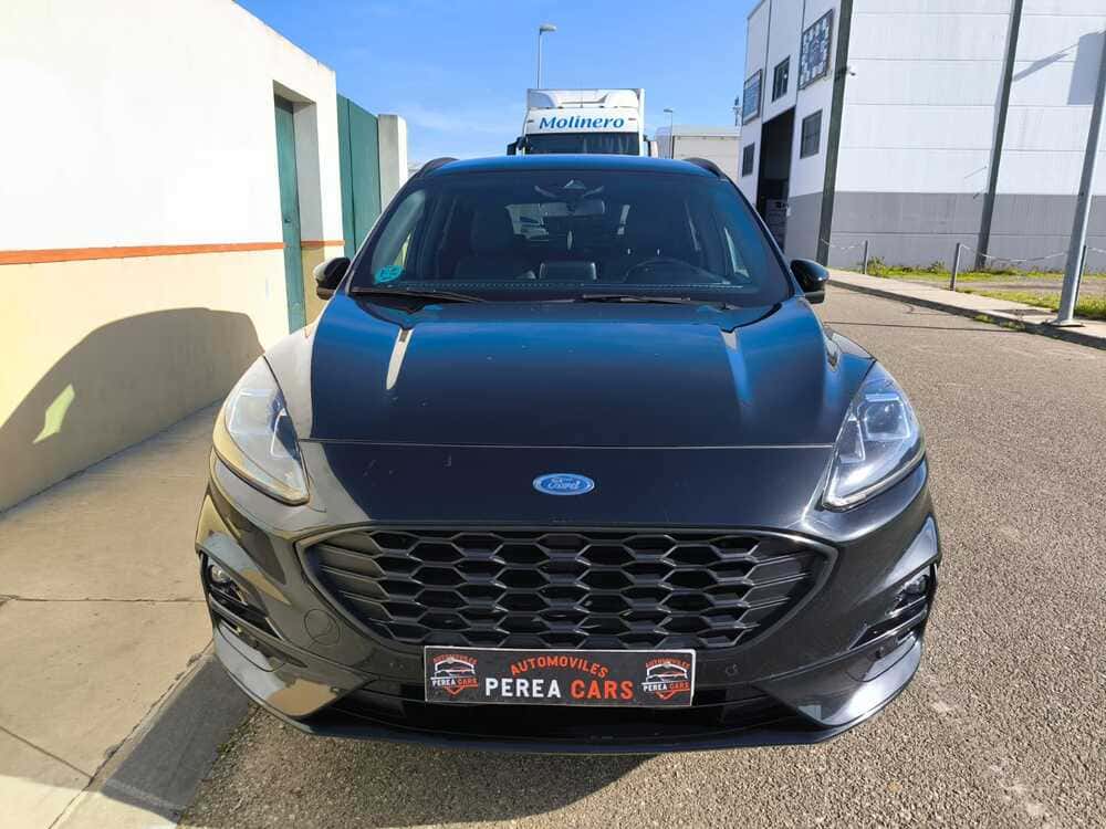 whatsapp image 2026 01 16 at 19.55.42 4