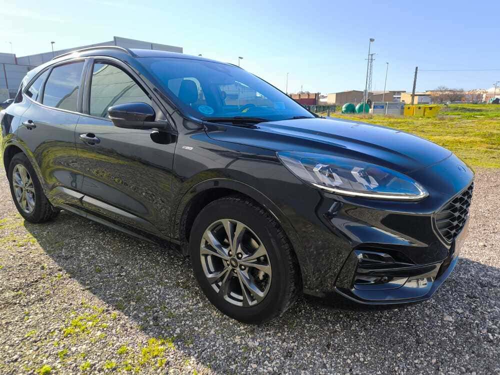 whatsapp image 2026 01 16 at 19.55.43 1 1