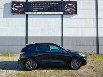 whatsapp image 2026 01 16 at 19.55.43 2 1