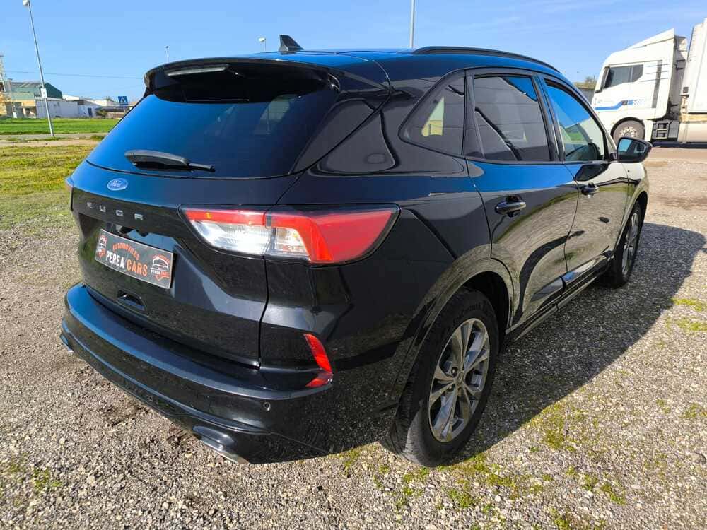 whatsapp image 2026 01 16 at 19.55.43 3 1