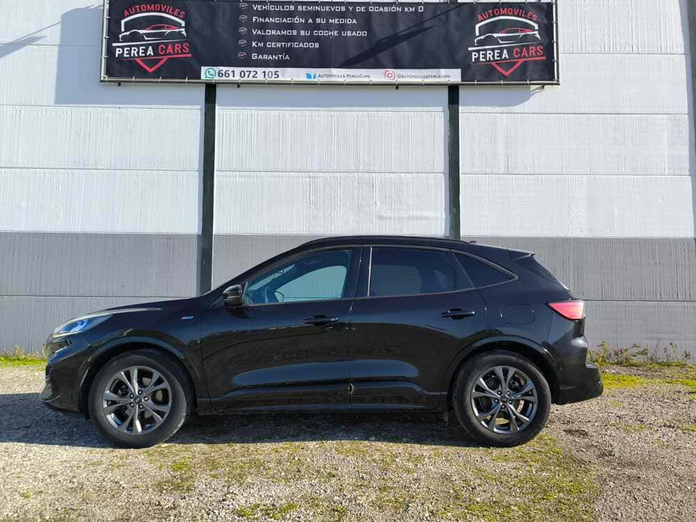 whatsapp image 2026 01 16 at 19.55.43 4 1