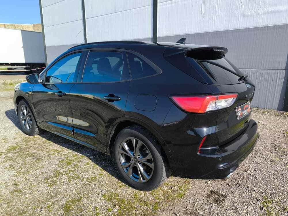 whatsapp image 2026 01 16 at 19.55.44 2