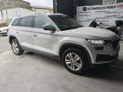 whatsapp image 2026 02 11 at 16.40.09 3