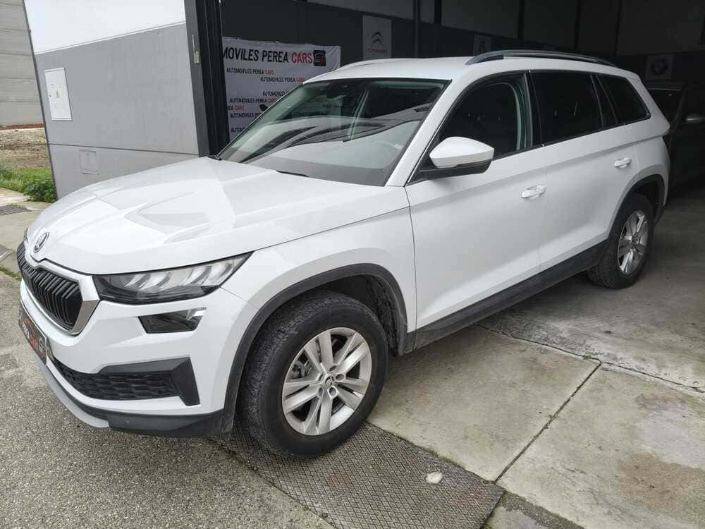 whatsapp image 2026 02 11 at 16.40.10 3