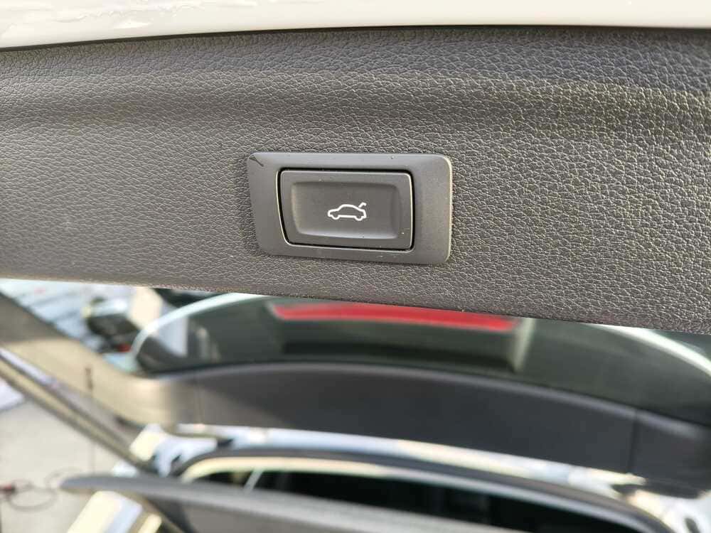 whatsapp image 2026 02 14 at 12.55.58 1